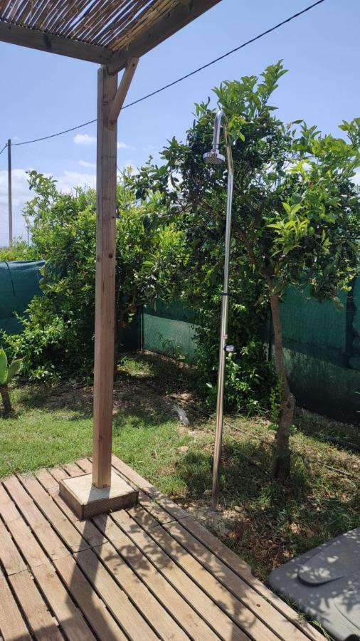Els Tarongers Perfect For Families Or Friends Vila Sa Pobla Exterior foto