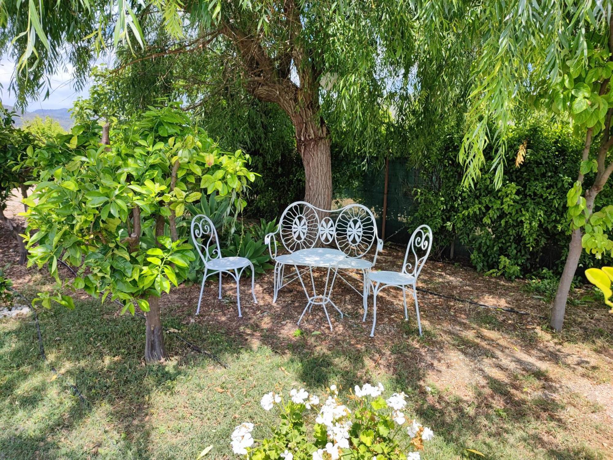 Els Tarongers Perfect For Families Or Friends Vila Sa Pobla Exterior foto
